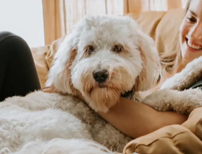 White dog and girl sitting on beige chair together White dog and girl sitting on beige chair together