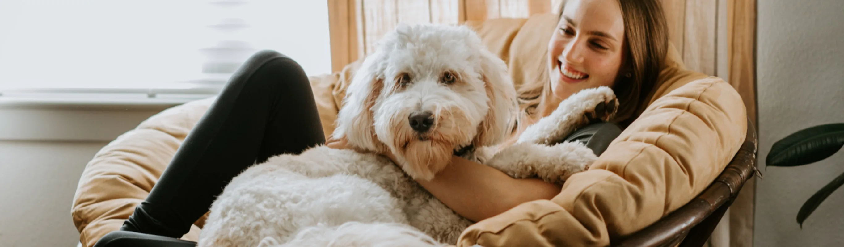 White dog and girl sitting on beige chair together White dog and girl sitting on beige chair together