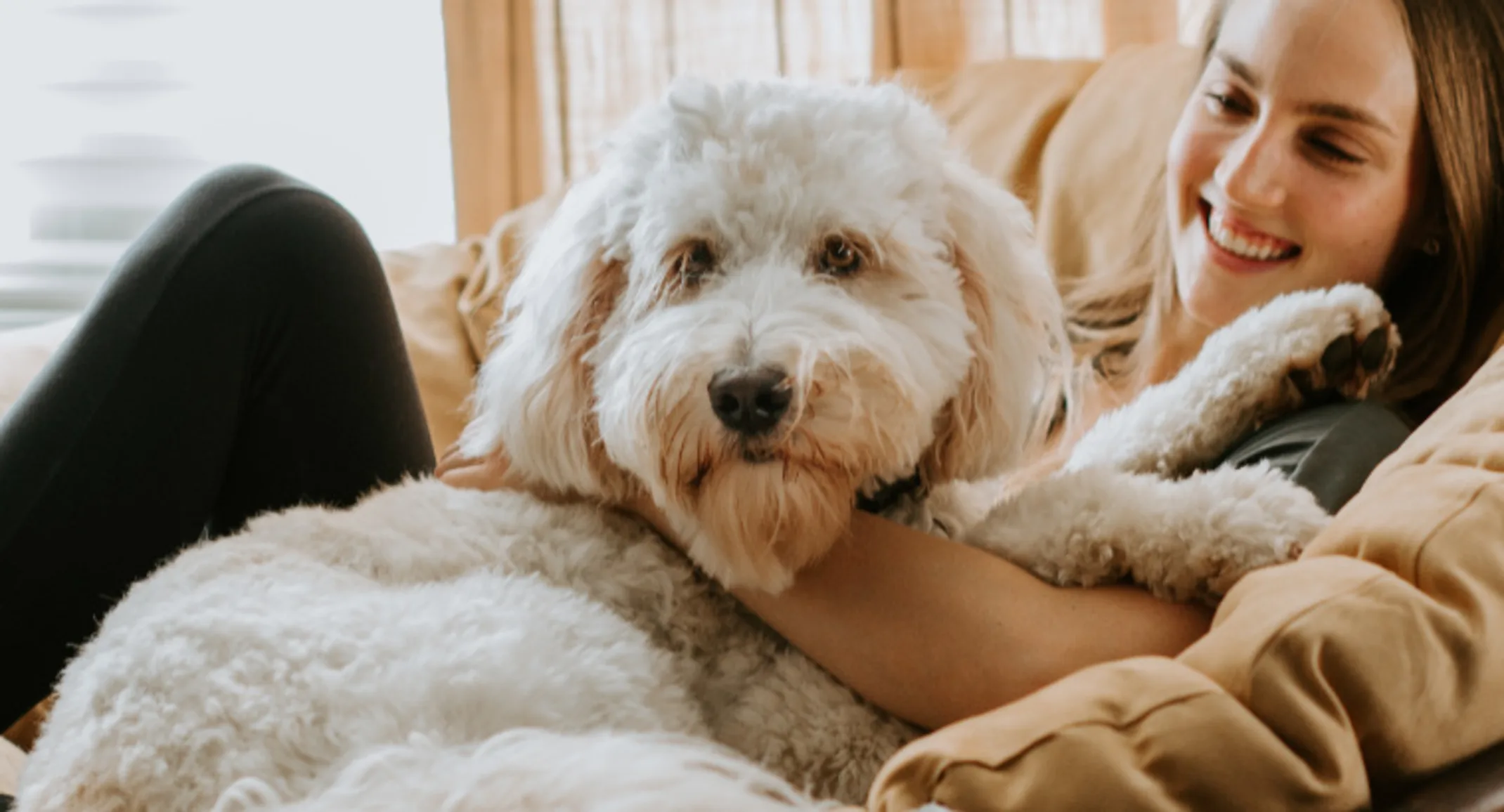White dog and girl sitting on beige chair together White dog and girl sitting on beige chair together