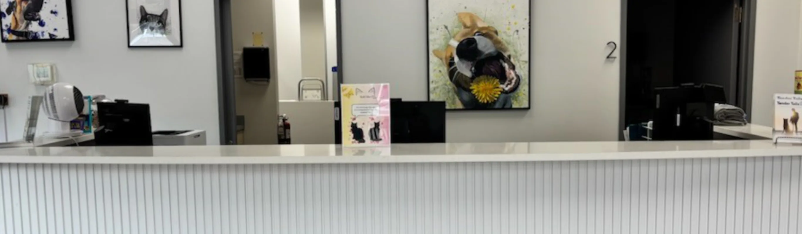 2025 Front Desk of Carnegy Animal Hospital 2025 Front Desk of Carnegy Animal Hospital