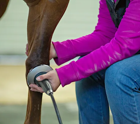 Shockwave Therapy Shockwave Therapy