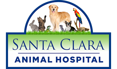 Santa Clara Animal Hospital photo 3