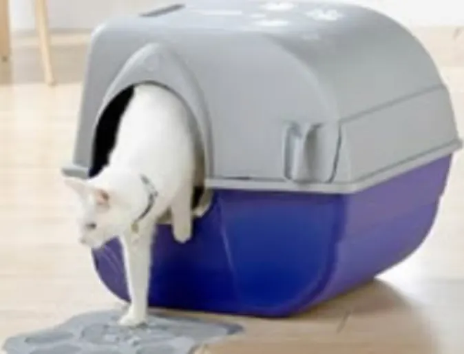 A white cat crawling out of its litter box A white cat crawling out of its litter box