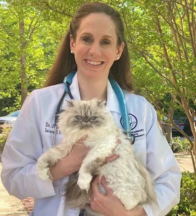 Julie Trzil, DVM & DACVIM at Nashville Veterinary Specialists