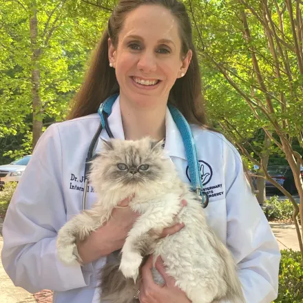 Julie Trzil, DVM & DACVIM at Nashville Veterinary Specialists