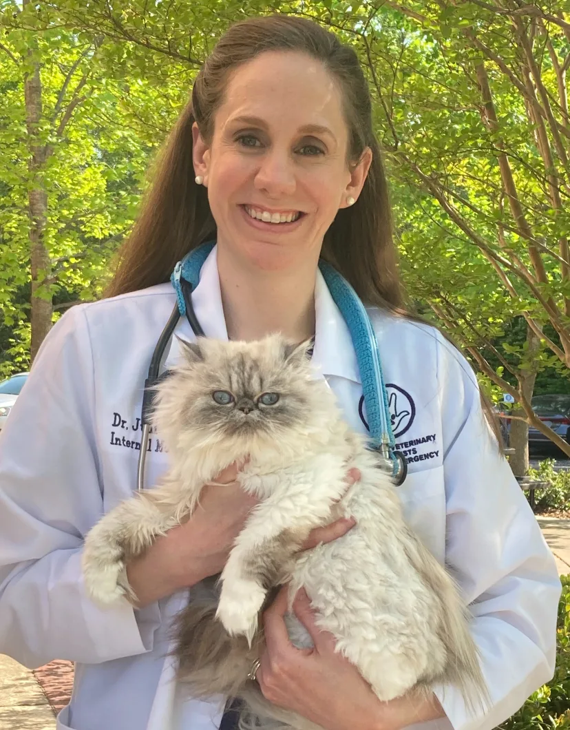Julie Trzil, DVM & DACVIM at Nashville Veterinary Specialists