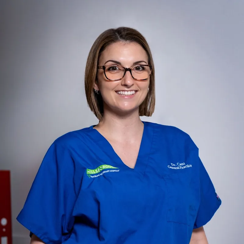 Amanda Catti Amanda Catti