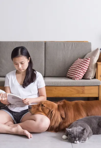 woman reading with cat and dog next to her woman reading with cat and dog next to her