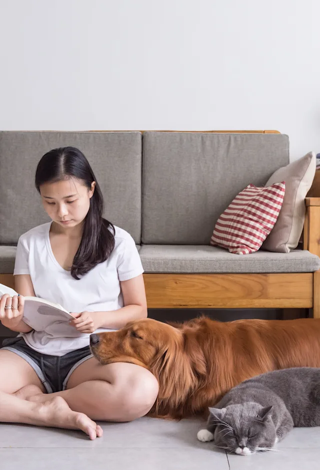 woman reading with cat and dog next to her woman reading with cat and dog next to her