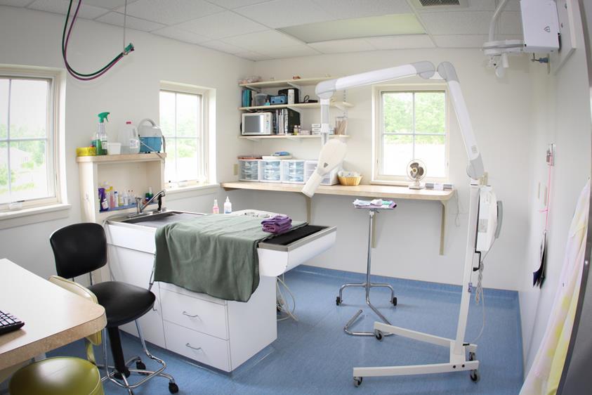 Dental Suite
