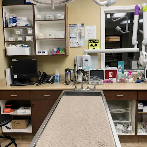 Exam table with shelves of medicinal supplies behind it. Exam table with shelves of medicinal supplies behind it.