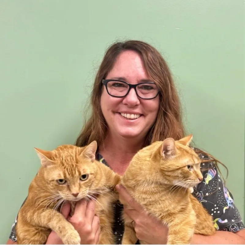 Dr. Jennifer Gummo-Wagner Dr. Jennifer Gummo-Wagner