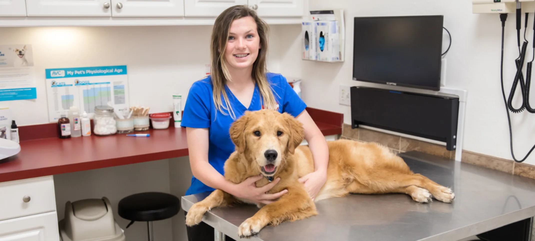 Staff member with Golden Retriever at The Animalife Veterinary Center at Mission Hills Staff member with Golden Retriever at The Animalife Veterinary Center at Mission Hills