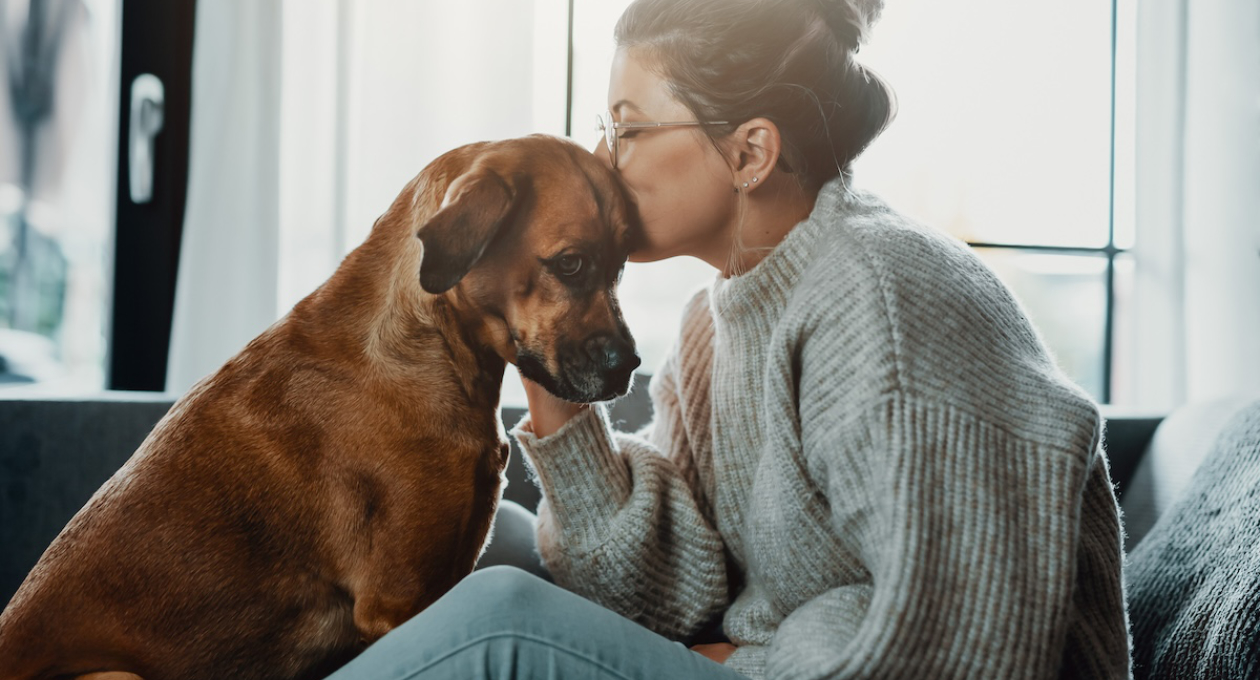 Girl Kissing a Brown Dog's Head