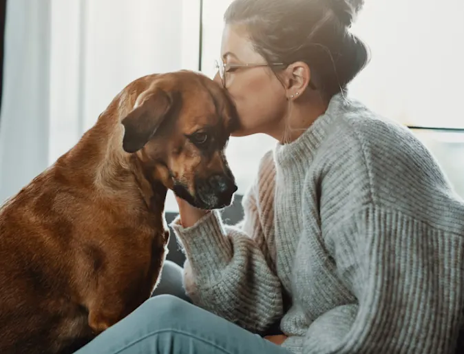 Girl Kissing a Brown Dog's Head Girl Kissing a Brown Dog's Head