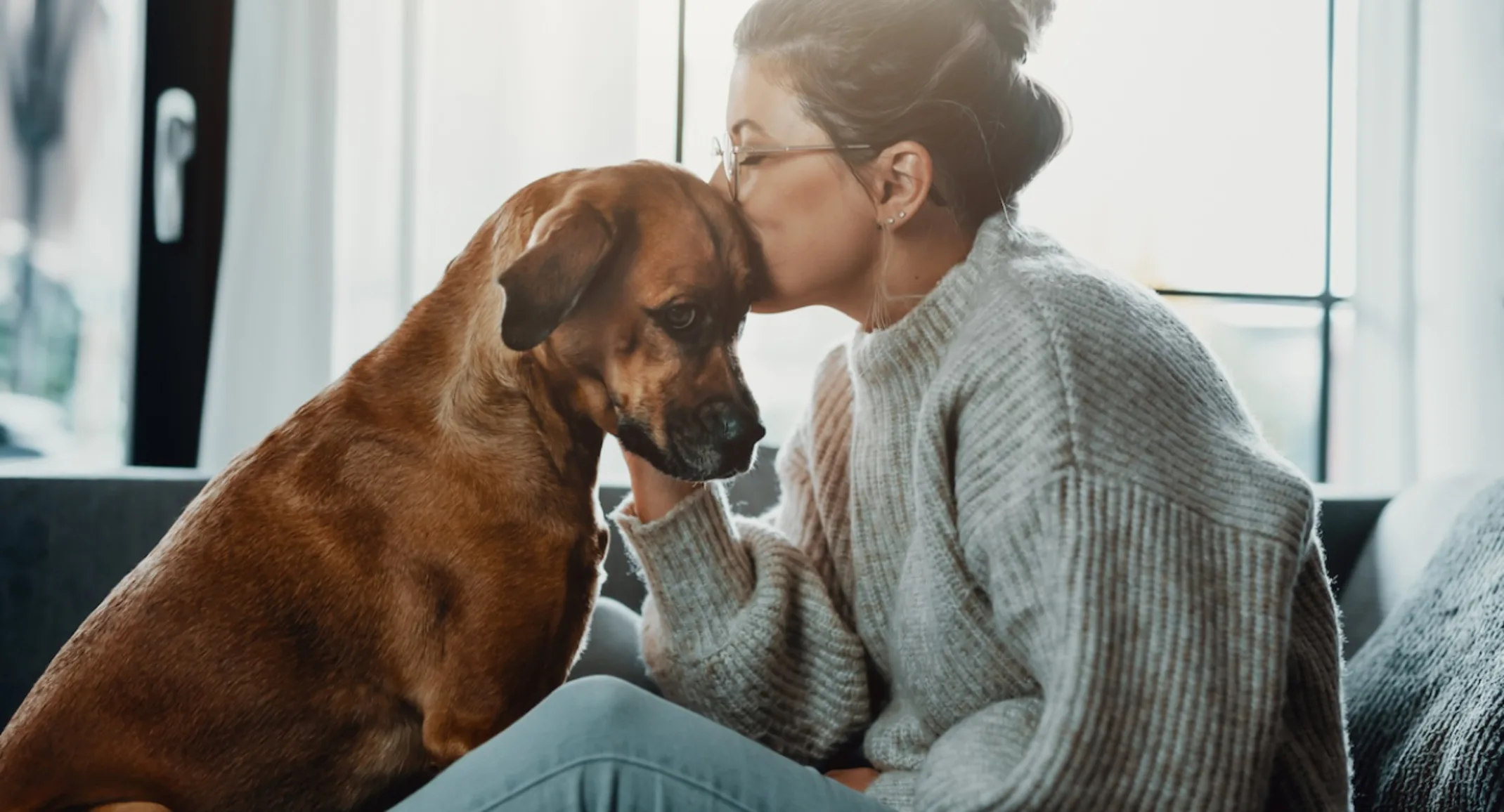 Girl Kissing a Brown Dog's Head Girl Kissing a Brown Dog's Head