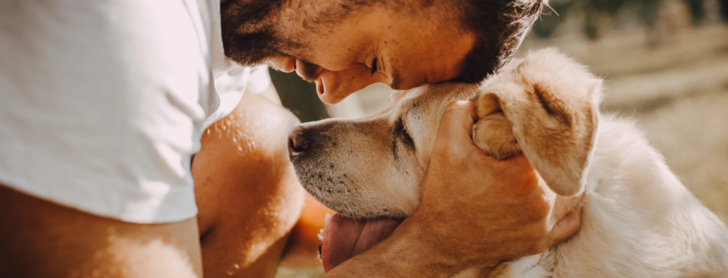 Man Hugging Dog's Face Man Hugging Dog's Face