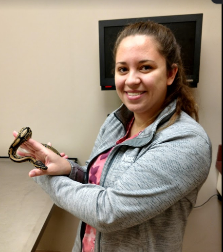 Staff Member Holding a Snake