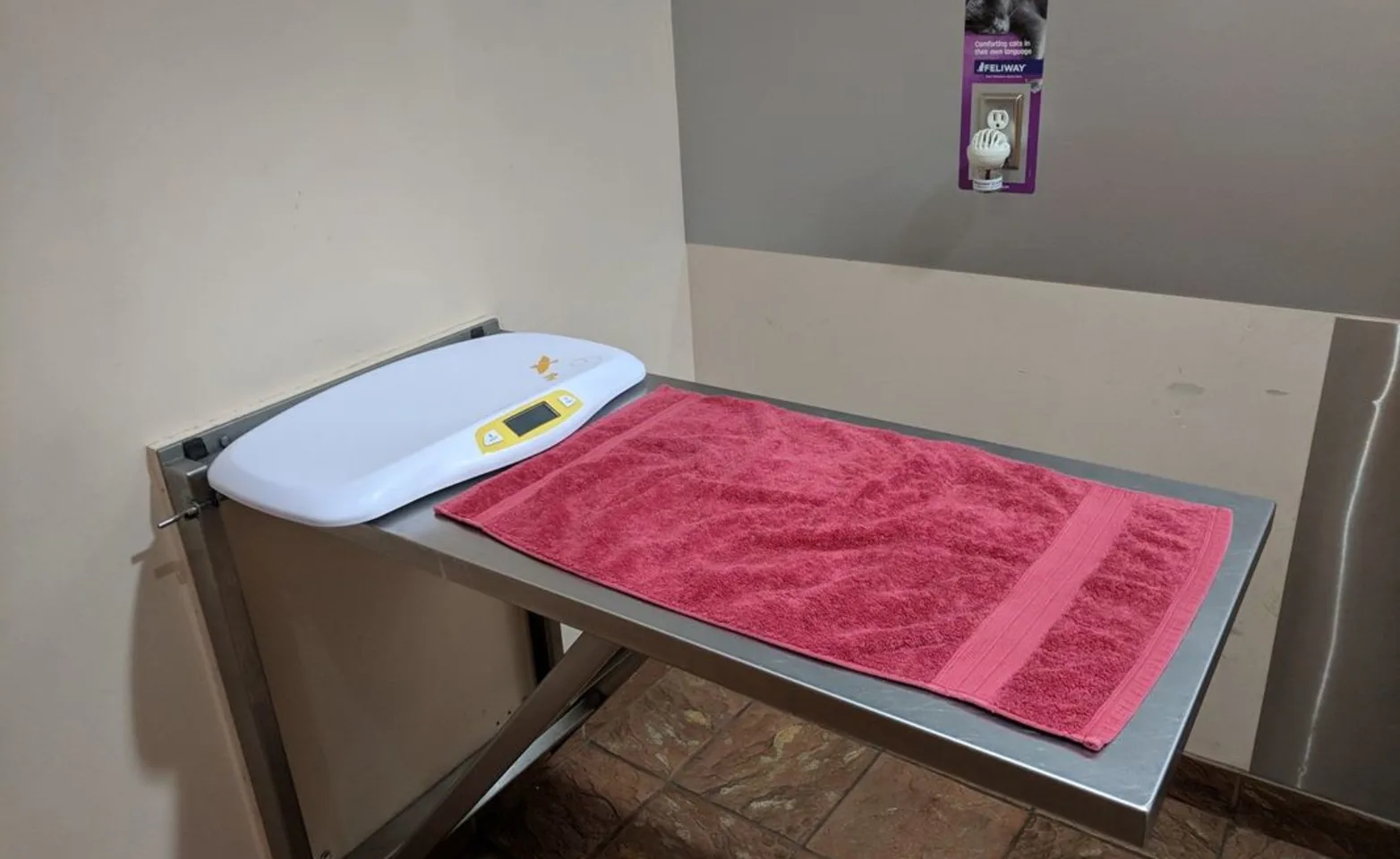 Digital scale and towel sitting on exam table at Abbotsford Animal Hospital