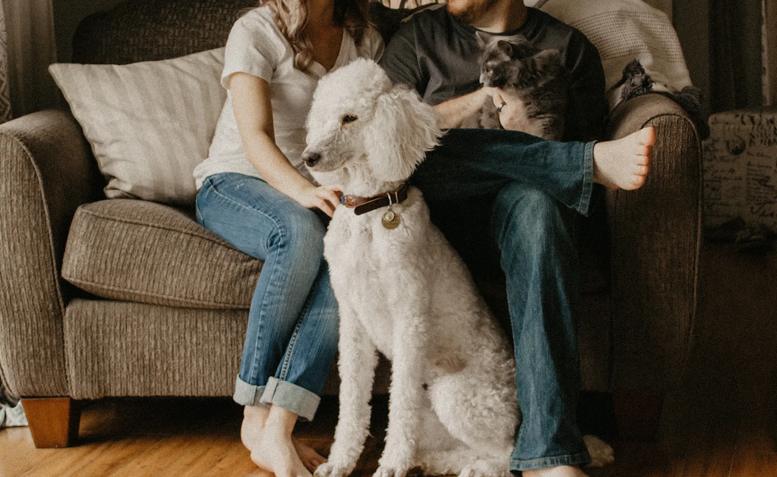 man and woman sitting on couch with dog and cat