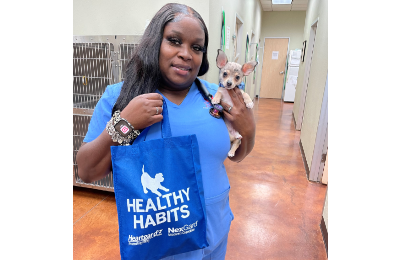 Woman Staff Member Holding Small Dog and Tote Bag
