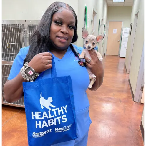 Woman Staff Member Holding Small Dog and Tote Bag