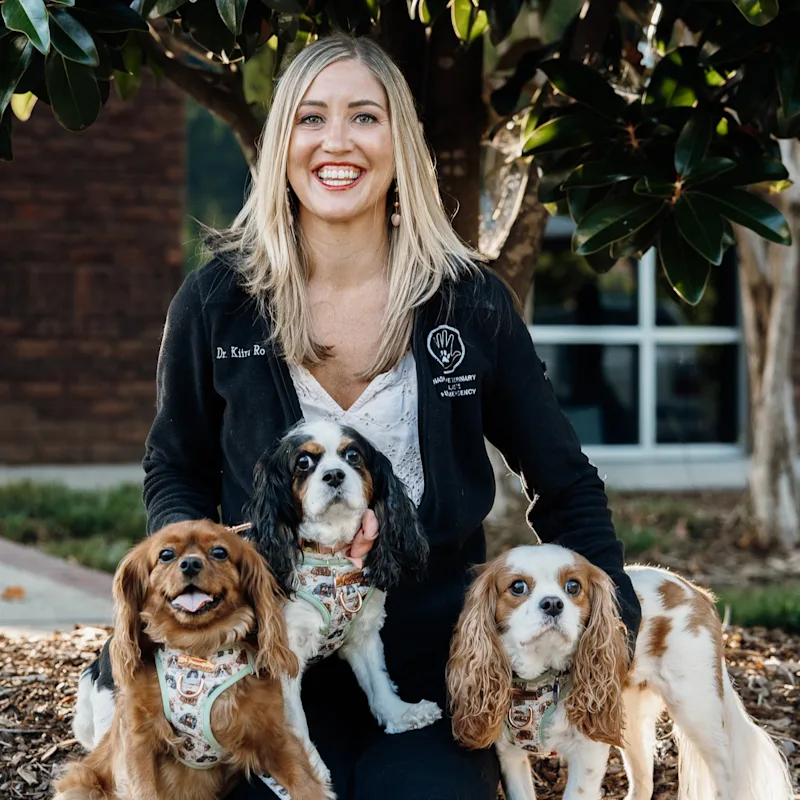 Kiira Rodriguez, DVM & DACVIM at Nashville Veterinary Specialists Kiira Rodriguez, DVM & DACVIM at Nashville Veterinary Specialists