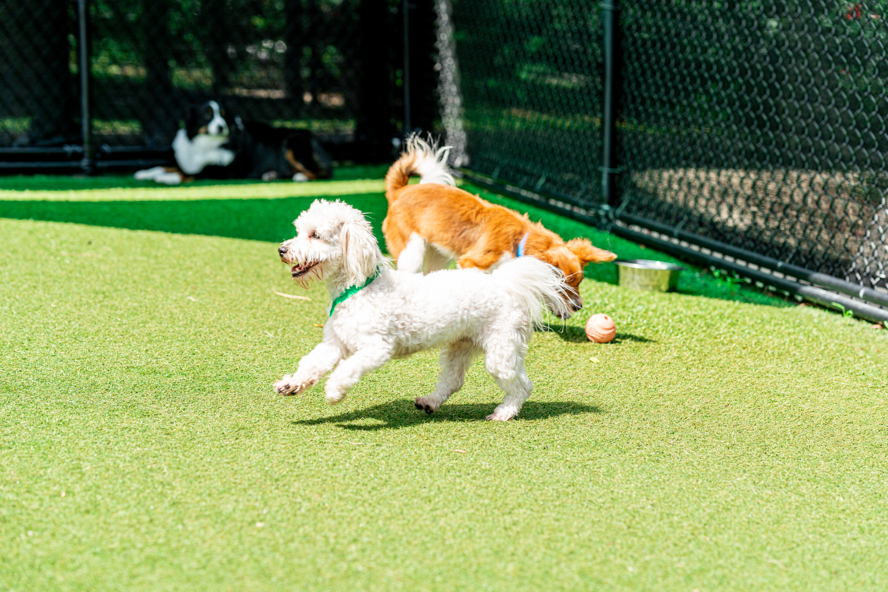 The Lodge at New Tampa Play Time