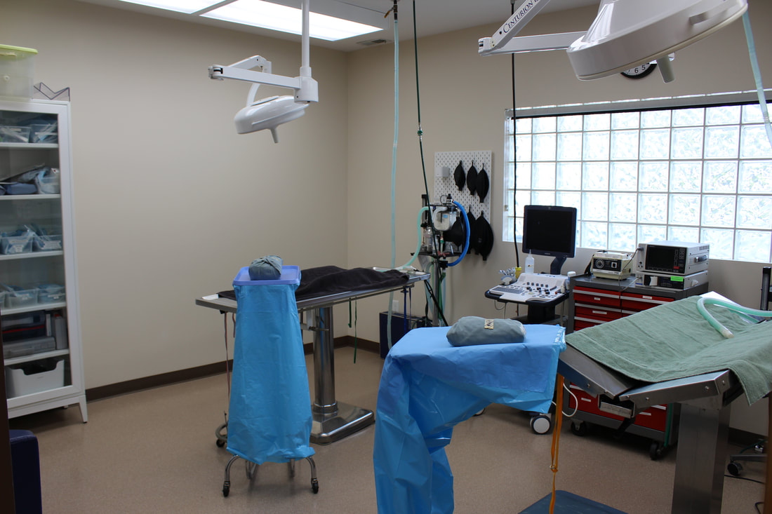 Operating room inside Hunter Animal Hospital 