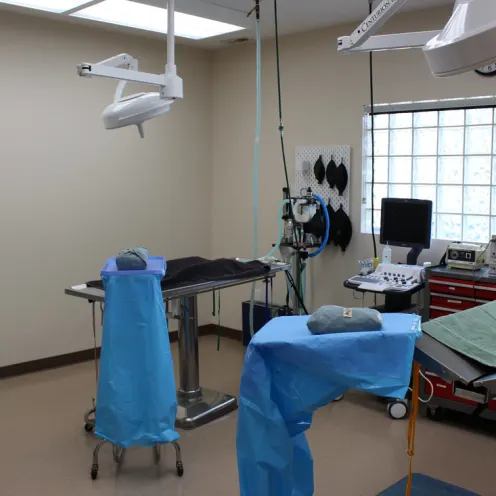 Operating room inside Hunter Animal Hospital 