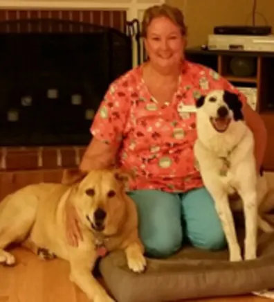 New Baltimore Animal Hospital Lisa New Baltimore Animal Hospital Lisa