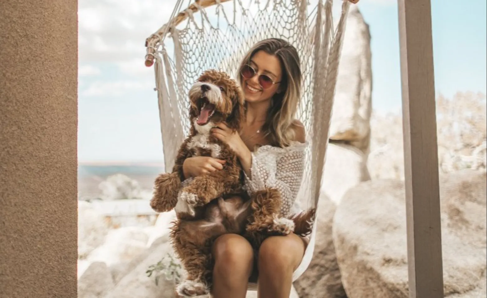 Dog being held by owner as they sit in a swinging woven chair in a coastal area