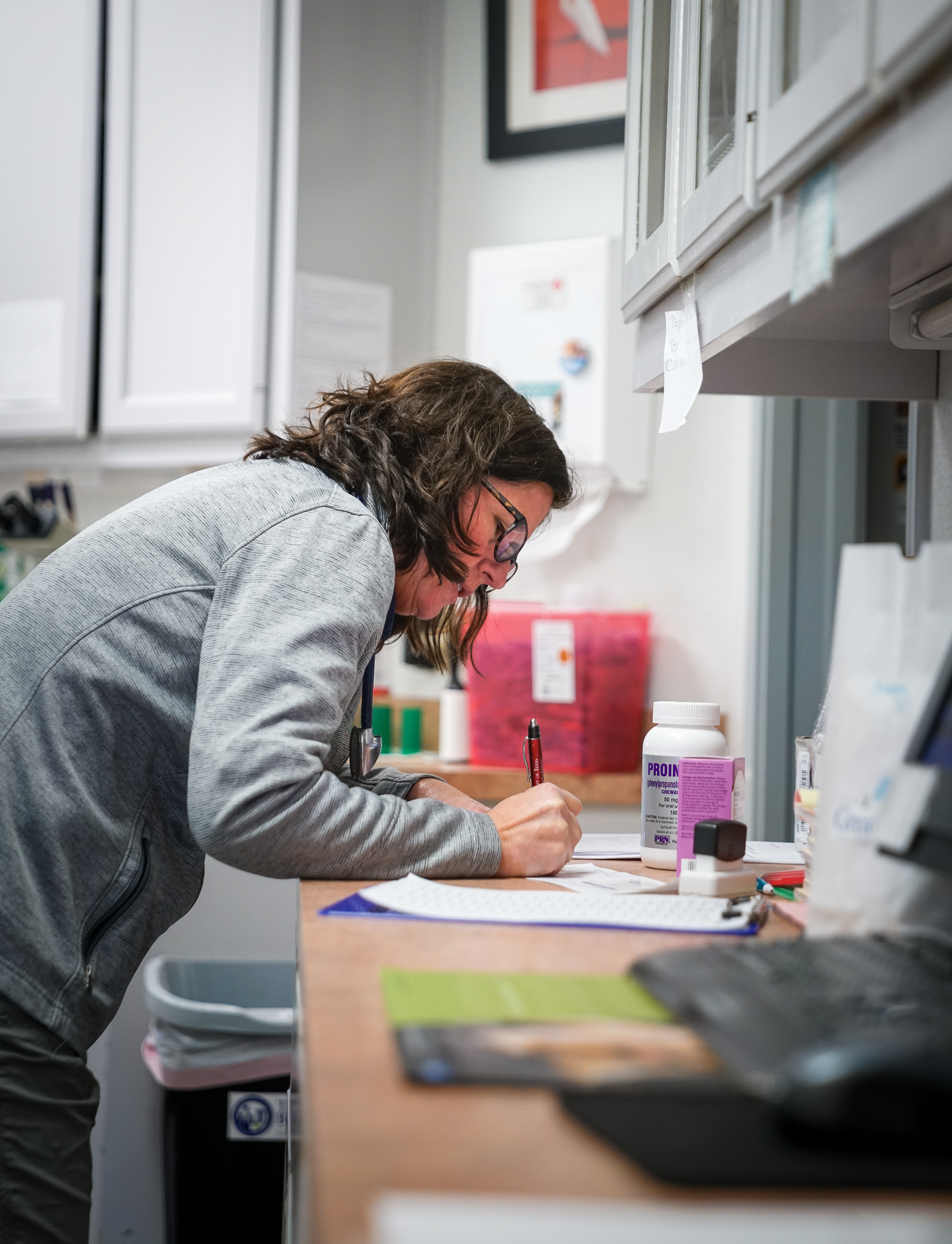 Dr. Willis-Burgess works at the pharmacy area of Great Oaks Animal Hospital