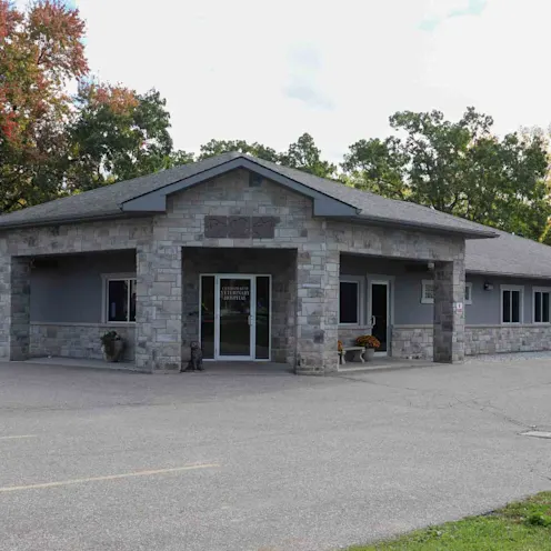 Outside View Outside View