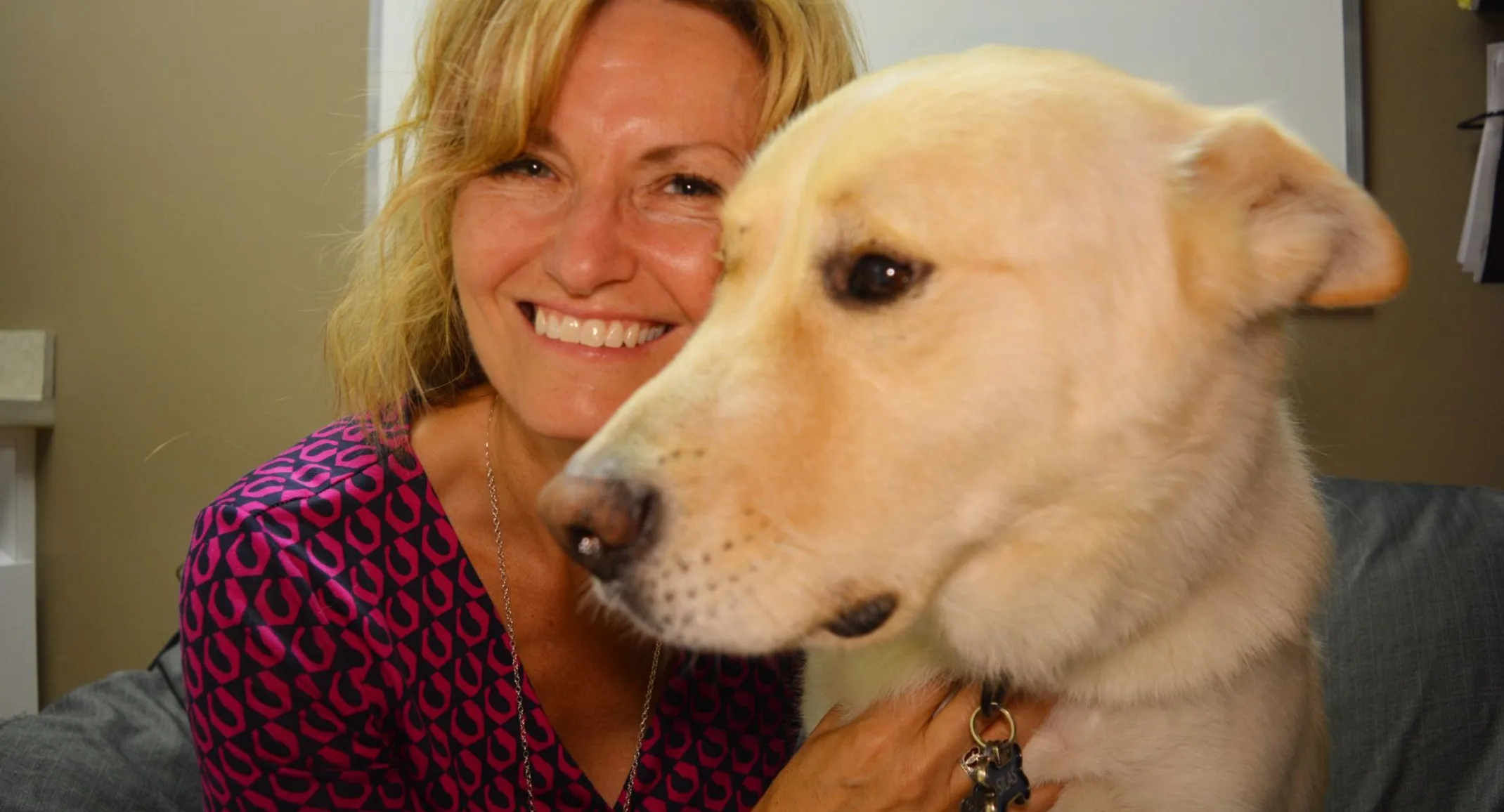 Woman smiling while holding a golden retriever. Woman smiling while holding a golden retriever.