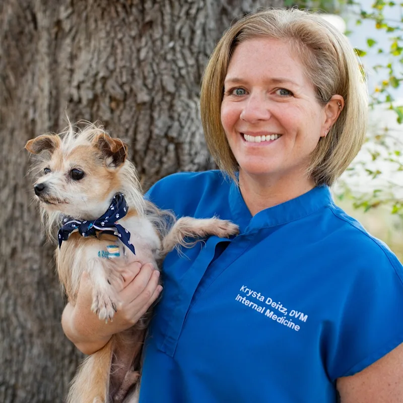 Krysta Deitz, DVM Krysta Deitz, DVM