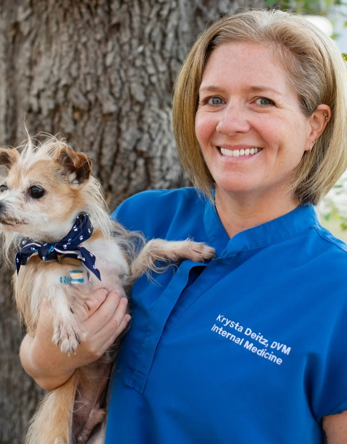 Krysta Deitz, DVM Krysta Deitz, DVM