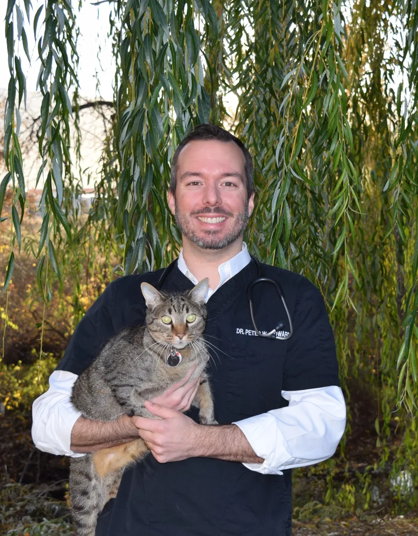 Dr. Peter Woodward holding a cat.