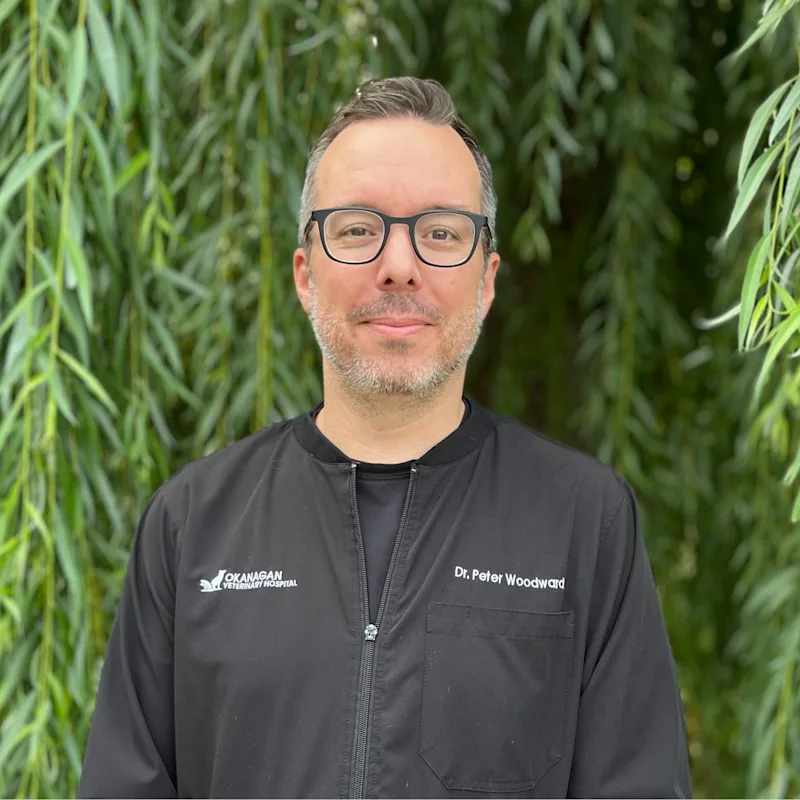 Dr. Peter Woodward holding a cat. Dr. Peter Woodward holding a cat.