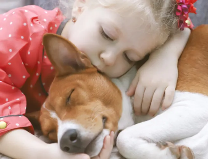 Girl Sleeping with a White/Brown Dog Girl Sleeping with a White/Brown Dog