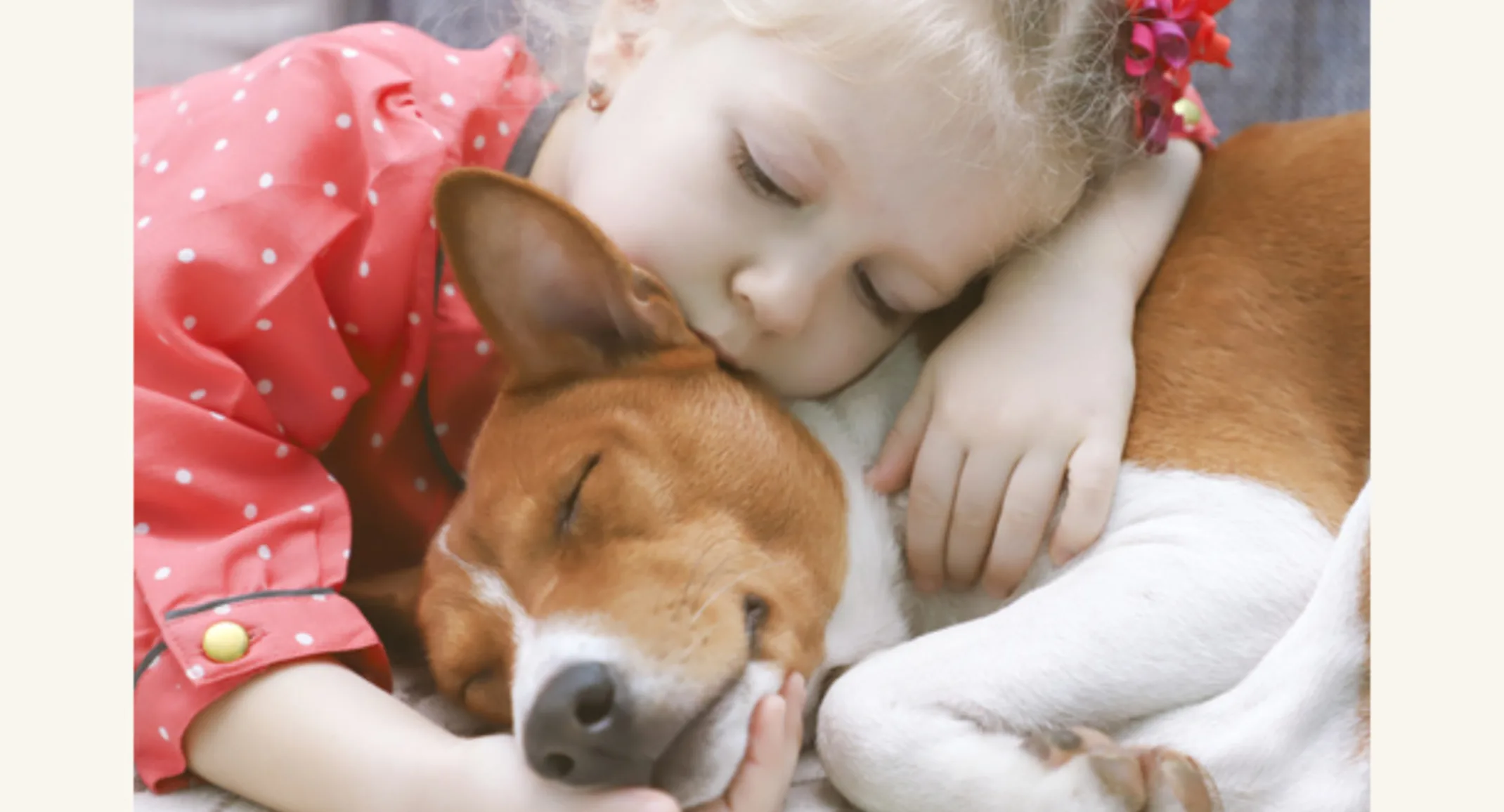 Girl Sleeping with a White/Brown Dog Girl Sleeping with a White/Brown Dog