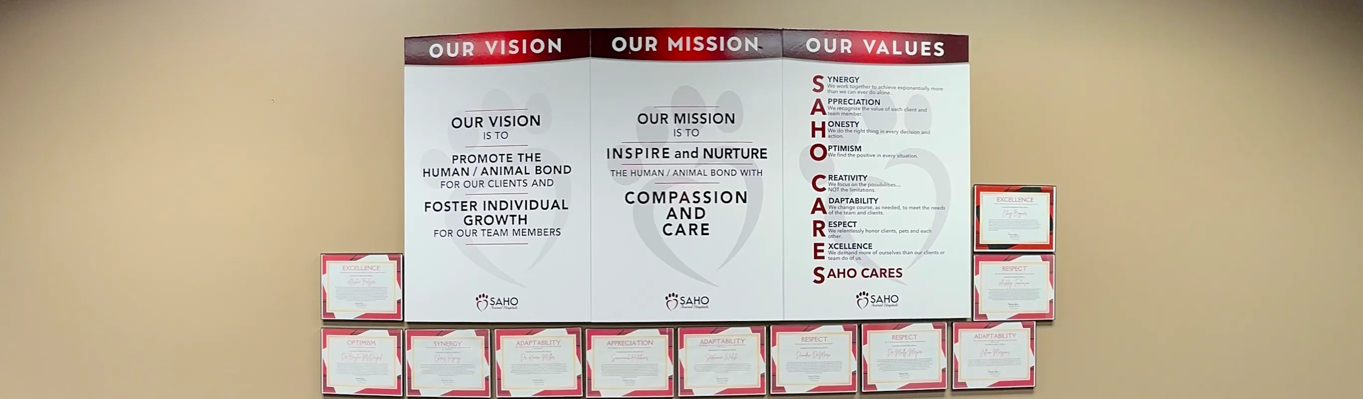 SAHO trifold detailing their vision, mission and values SAHO trifold detailing their vision, mission and values