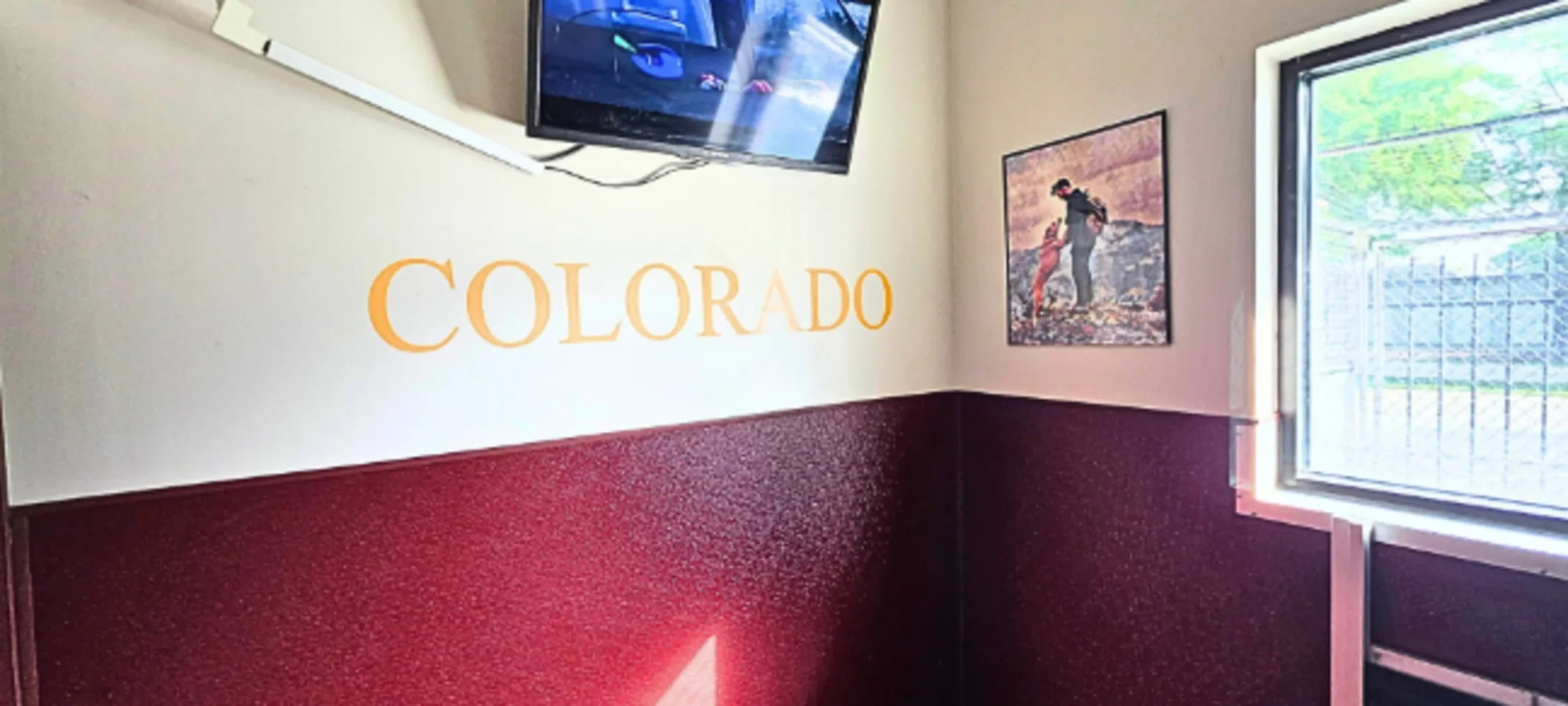 Boarding Room with TV at Lafayette Veterinary Care Center Boarding Room with TV at Lafayette Veterinary Care Center