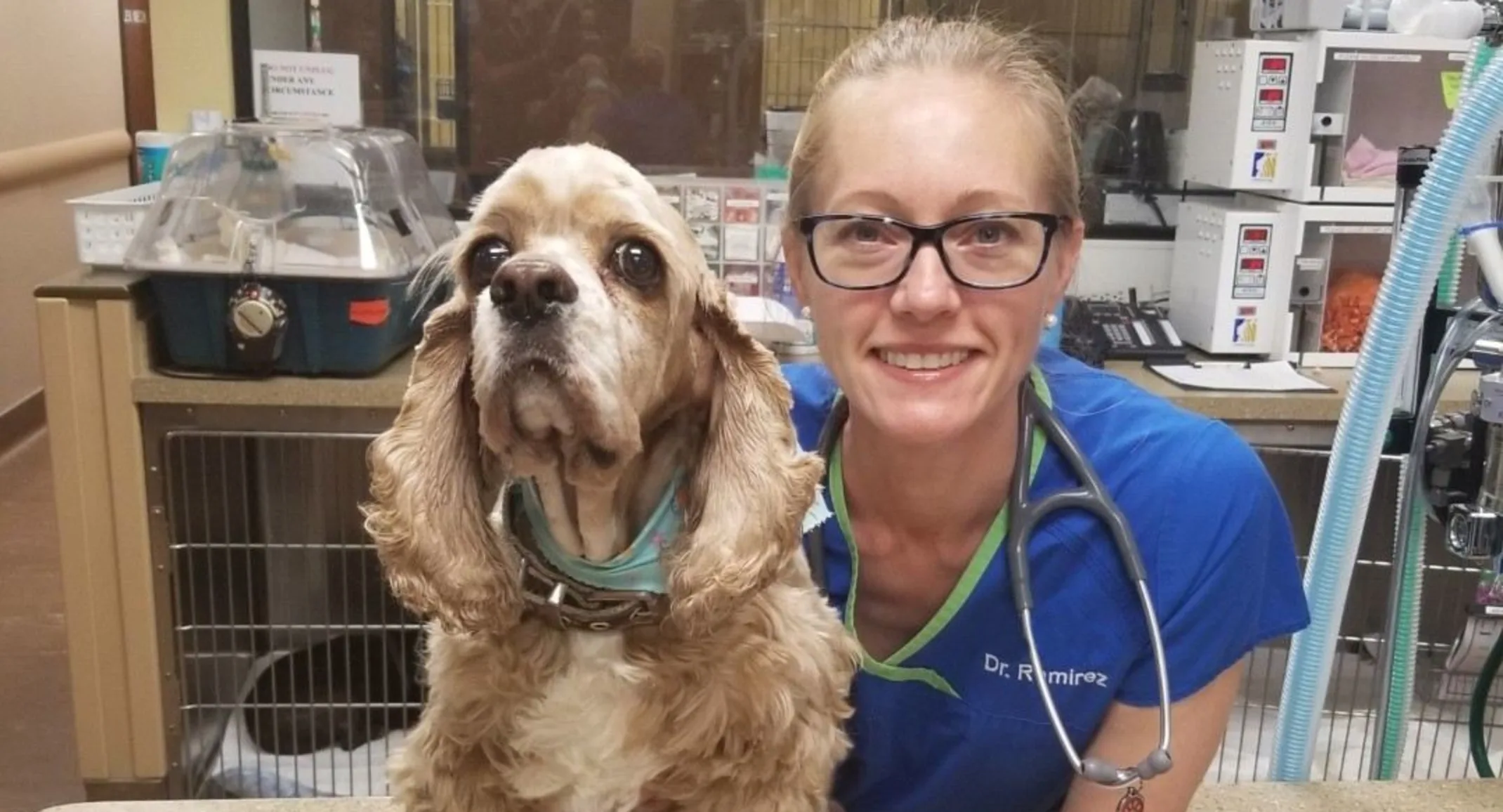 Dr. Ramirez smiling next to a white dog Dr. Ramirez smiling next to a white dog