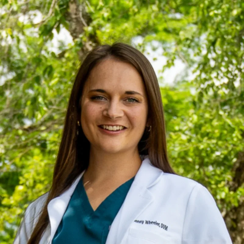 Dr. Jenny Wheeler Dr. Jenny Wheeler