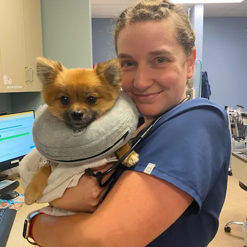 Staff member holding dog with cone Staff member holding dog with cone