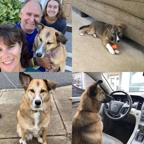 Piper Deiley Piper Deiley