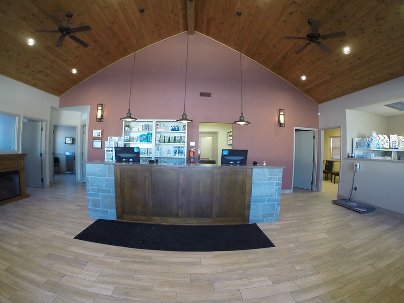 Front Desk at Huntsville Animal Hospital