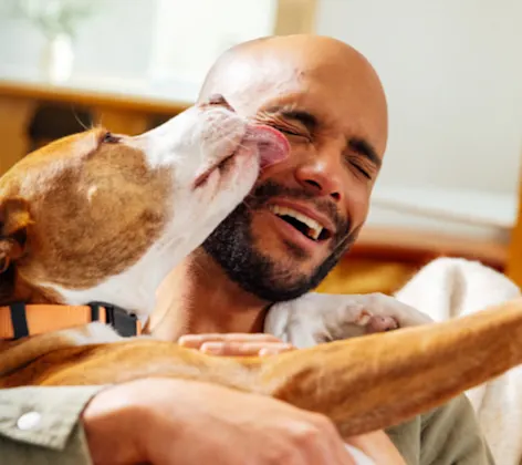 PawPlans® PawPlans®