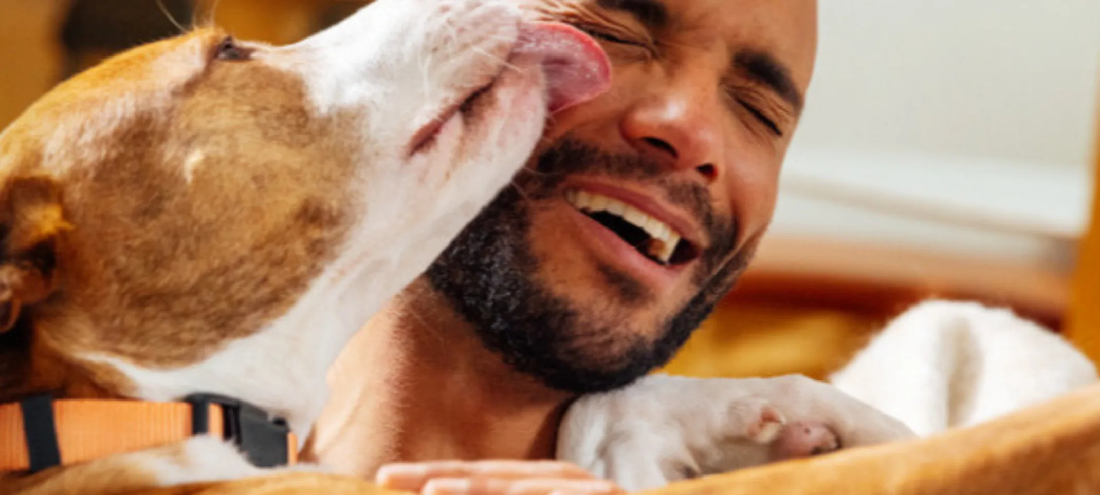 PawPlans® PawPlans®